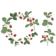 four different types of strawberries arranged in the shape of a letter v with leaves and flowers