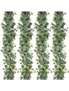 four rows of green leaves on a white background