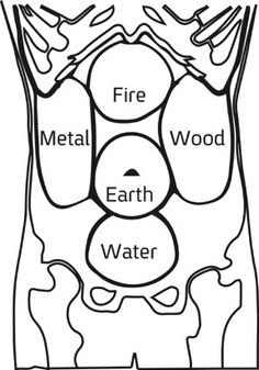 Human Body Organs, Tai Chi Qigong, Acupressure Massage, Kinesiology Taping, Shiatsu Massage, Energy Medicine, Acupuncture Points, Acupressure Points