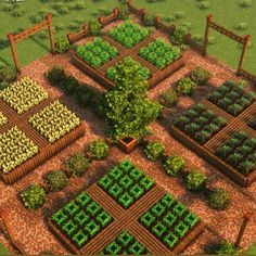 an aerial view of a vegetable garden