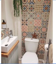 a white toilet sitting next to a sink in a bathroom under a hanging potted plant