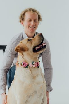 a woman sitting on a chair petting a dog