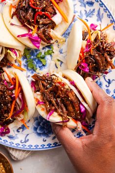 a person is holding up some food on a blue and white plate with red cabbage