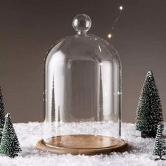 a glass dome with snow on top and small trees in the background