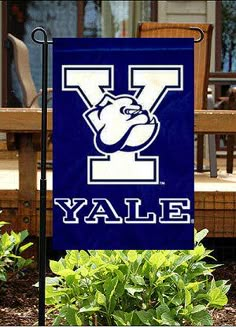 a blue and white yard flag with the letter y on it