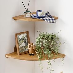 two shelves with plants and pictures on them, one shelf has a small figurine