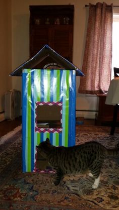 a cat standing in front of a cardboard house