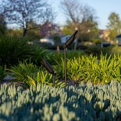 two metal sculptures sitting in the middle of a garden