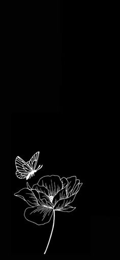 two butterflies sitting on top of a flower in the night sky with only one wing visible