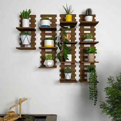 several wooden shelves with plants and potted plants hanging from them on the wall next to a planter