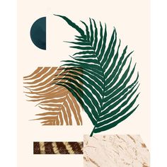 an image of a palm leaf and moon