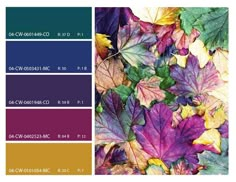 an image of autumn leaves in shades of purple, yellow and green