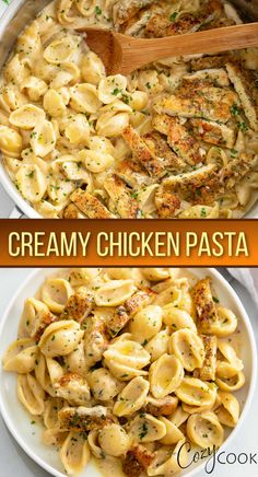 chicken with shell pasta in a creamy white sauce Easy Pasta Dinner, Creamy Chicken Pasta, Dinner Recipes For Family, School Snack, Health Dinner Recipes, Chicken Dishes Recipes, Linguine