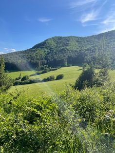 Sunny, hiking, nature, plants, walk, vacation, greenery, sun, warm, beautiful, scenary, slovakia, travel Slovakia Travel, Fantasy Vibes, Hiking Nature, Sunny Weather, Slovakia, Sunny Day, Country Living, Natural Wonders