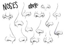 the stages of nose shapes and how to draw them