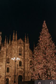 a large christmas tree in front of a cathedral with lights on it's sides