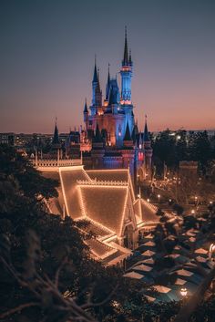 a castle lit up at night with lights on it's sides and trees in the foreground