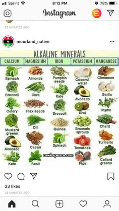 Keto Alkaline Food List, Alkaline Indian Foods, Alkaline Skin Care, Alcaline Food Diet, Alkaline Vegan Diet, Foods And Their Benefits, Dr Sebi Alkaline Food Recipe, Dr Sebi Juice Recipes, Alkaline Diet Recipes For Beginners