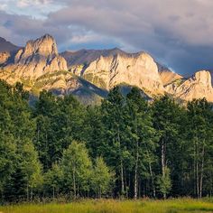 the mountains are covered with trees and grass as the sun sets in the distance behind them