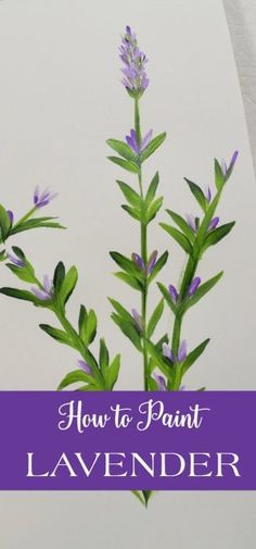 how to paint lavender flowers in watercolor