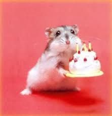 a hamster holding a cake with candles on it