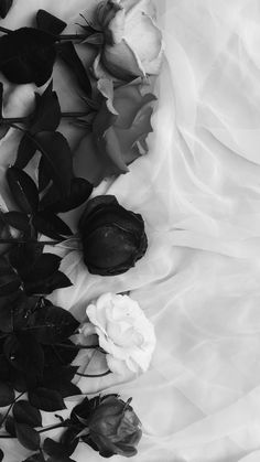 black and white photograph of flowers on fabric