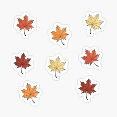 six maple leaf stickers arranged in four different shapes and colors on a white background