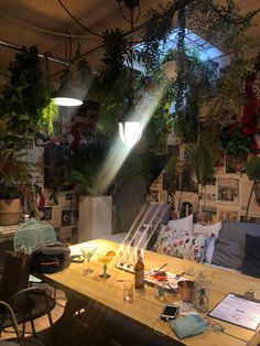 a room filled with lots of plants next to a wooden table and two lamps on top of it