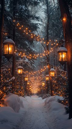 a snowy path with lights hanging from the trees