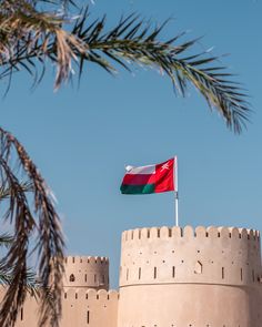 a flag flying on top of a tall building next to a palm leafy tree