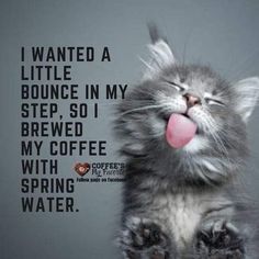 a cat sticking its tongue out with the caption i wanted a little bounce in my step, so i brew my coffee with spring water