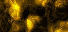 an abstract image of yellow and black colors