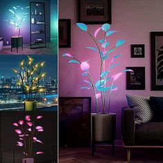 three different pictures with lights in them and one has a plant growing out of it