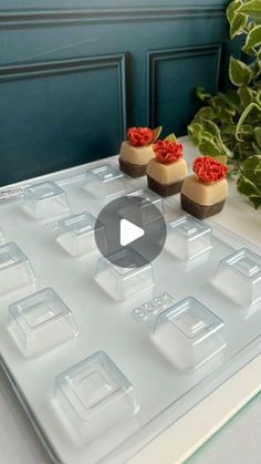 an ice tray with four desserts sitting on it next to a potted plant