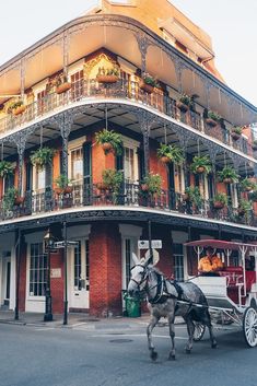 a horse drawn carriage in front of a tall building with balconies on it