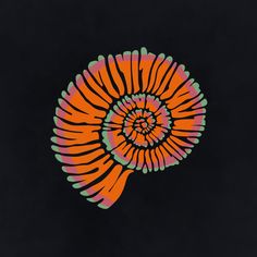 an orange and green spiral design on a black background in the shape of a human's head