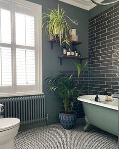 a bath room with a tub a toilet and a plant on the shelf next to it