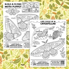 two coloring pages for the life cycle of a caterpillar, with leaves and flowers