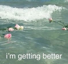 some pink flowers floating in the water and one is holding onto a rope that says i'm getting better