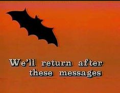 a bat flying through the air with an orange sky in the background that says, we'll return after these messages