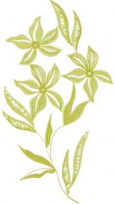 some green leaves on a white background