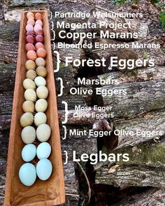 a wooden boat filled with eggs sitting on top of a tree