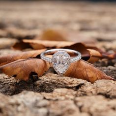 a diamond ring sitting on top of a leaf covered ground next to some brown leaves