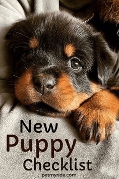 a puppy laying on top of a blanket next to a stuffed animal dog with the words new puppy checklist written above it