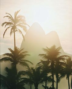 the sun is shining through palm trees in front of a mountain with a large rock