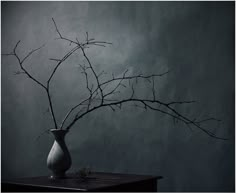 a vase filled with branches sitting on top of a wooden table next to a wall