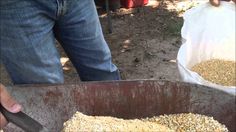 a person holding a knife in front of a bin filled with grains