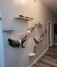 three driftwood pieces are hanging on the wall next to each other in a room