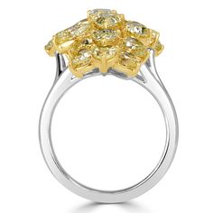 This incredible fancy yellow diamond cluster ring is elegant and elongates the finger when worn. This design showcases a gorgeous mix of fancy shaped diamonds totaling 5.59ct. The summery colors of the fancy yellow diamonds pop brightly against the high polished 18k white hold ring setting. This stunner is the perfect addition to her evening cocktail dress! Yellow Diamond Cluster Ring With Prong Setting, Evening Cocktail Dress, Mark Broumand, Yellow Diamonds, Fancy Yellow Diamond, Cocktail Evening Dresses, Evening Cocktail, Ring Setting, Diamond Cluster Ring