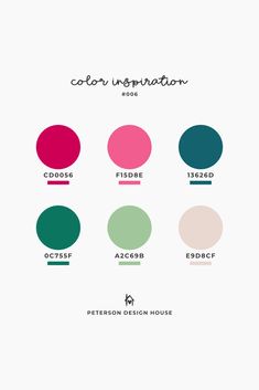 the color palette is shown with different colors and sizes for each type of paint scheme